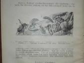 1393. Žemės Ūkio Vadovas - nuotraukos Nr. 5