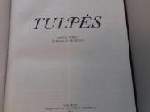 Knyga (tulpes) - nuotraukos Nr. 3