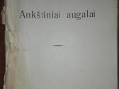 1396. Ankštiniai Augalai Krikščiūnas J. antikvarin