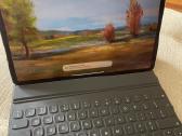 iPad Pro 12.9 (4th gen) 256gb su Sim idealus - nuotraukos Nr. 4