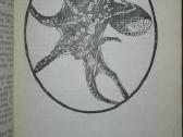 1409. Įdomioji Zoologija Sabunajevas V. - nuotraukos Nr. 3