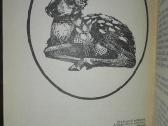 1409. Įdomioji Zoologija Sabunajevas V. - nuotraukos Nr. 5