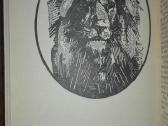 1409. Įdomioji Zoologija Sabunajevas V. - nuotraukos Nr. 6