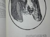 1409. Įdomioji Zoologija Sabunajevas V. - nuotraukos Nr. 7