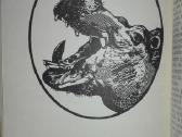 1409. Įdomioji Zoologija Sabunajevas V. - nuotraukos Nr. 8