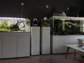 Akvariumų salonas - nuotraukos Nr. 2