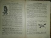 1414. Охота Пуще Неволи Соколовђ Н. - nuotraukos Nr. 7