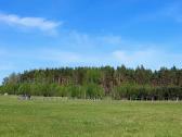 Namų valda/ūkininko sodyba Parduodami Sklypai - nuotraukos Nr. 4