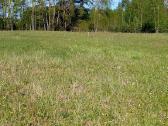 Namų valda/ūkininko sodyba Parduodami Sklypai - nuotraukos Nr. 15