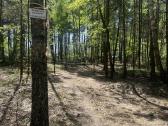 Poilsis prie Dusios ežero "Pas Aureliją" - nuotraukos Nr. 33