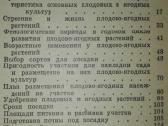 1438. Сад, Цветы Васильева К. - nuotraukos Nr. 8