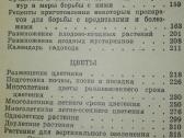 1438. Сад, Цветы Васильева К. - nuotraukos Nr. 9