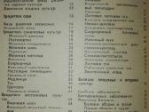 1439. Как Защитит Сад От Вредителей И Болезней - nuotraukos Nr. 7