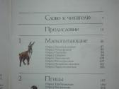 1445. *редкие И Исчезающие Животные Сосновский И. - nuotraukos Nr. 3