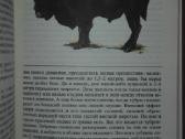 1445. *редкие И Исчезающие Животные Сосновский И. - nuotraukos Nr. 6