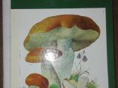1448. Taschenbuch Henning B.