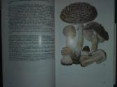 1448. Taschenbuch Henning B. - nuotraukos Nr. 3