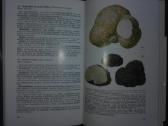 1448. Taschenbuch Henning B. - nuotraukos Nr. 5