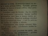 1450. Motina Ir Jos Rūpesčiai Vaikų Likimu Garmus - nuotraukos Nr. 7