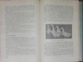 1454. Paukštininkystė - nuotraukos Nr. 6