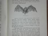 1456. Visuomenės Įnamiai Bogdanovas M. - nuotraukos Nr. 4