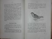 1456. Visuomenės Įnamiai Bogdanovas M. - nuotraukos Nr. 6