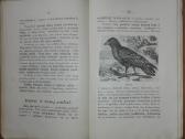 1456. Visuomenės Įnamiai Bogdanovas M. - nuotraukos Nr. 7