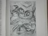 1456. Visuomenės Įnamiai Bogdanovas M. - nuotraukos Nr. 8