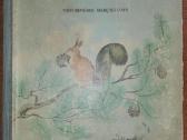 1458. Zoologija Salajevas V. 1950 m.