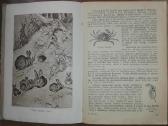 1458. Zoologija Salajevas V. 1950 m. - nuotraukos Nr. 3