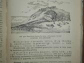 1458. Zoologija Salajevas V. 1950 m. - nuotraukos Nr. 5