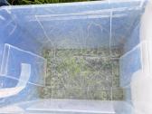 Daiktadėžės 65ltr.ikea - nuotraukos Nr. 5