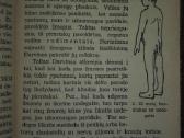 1470. Kaip Atsirado Žmogus Gremiackij M. - nuotraukos Nr. 4