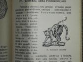 1470. Kaip Atsirado Žmogus Gremiackij M. - nuotraukos Nr. 5