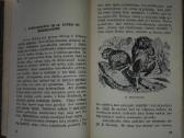 1470. Kaip Atsirado Žmogus Gremiackij M. - nuotraukos Nr. 6