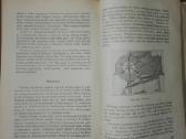 1477. Žemės Ūkui Mašinoa Ir Įrankiai - nuotraukos Nr. 7