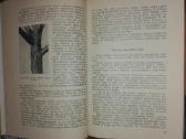 1482. Žemės Ūkio Fitopatologija Žuklienė R. - nuotraukos Nr. 2