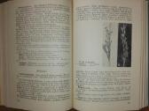 1482. Žemės Ūkio Fitopatologija Žuklienė R. - nuotraukos Nr. 3