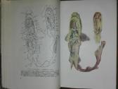 1486. Zoologijos Kursas Banikovas A. - nuotraukos Nr. 2