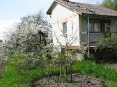 Parduodamas sodo sklypas su namu - nuotraukos Nr. 6