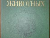 1493. Жизнь Животных