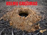 Apleistų laukų tvarkymas, kelmų frezavimas - nuotraukos Nr. 5