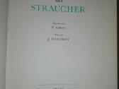 1504. Baume Und Straucher - nuotraukos Nr. 2