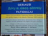 Geriausi žuvų ir jūros gėrybių patiekalai - nuotraukos Nr. 2