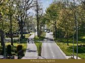 Parduodami 6 sklypai Bačiūnų 93 A - nuotraukos Nr. 5