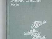 1518. Иллюстрированная Энциклопедия Рыб Франк С. - nuotraukos Nr. 2