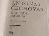 Nuobodi istorija - nuotraukos Nr. 2