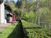 Šienavimas, medžių genėjimas, gyvatvorių karpymas - nuotraukos Nr. 2