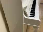 Pianinas August Hoffman Švedija (Renner) - nuotraukos Nr. 17