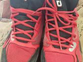 Puma 47d.